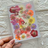 Flower Sheet